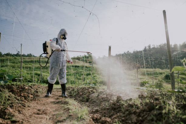 Best Mosquito Control Services  in Gooding, ID