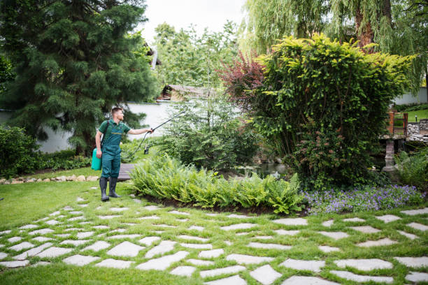 Best Pest Control for Businesses  in Gooding, ID