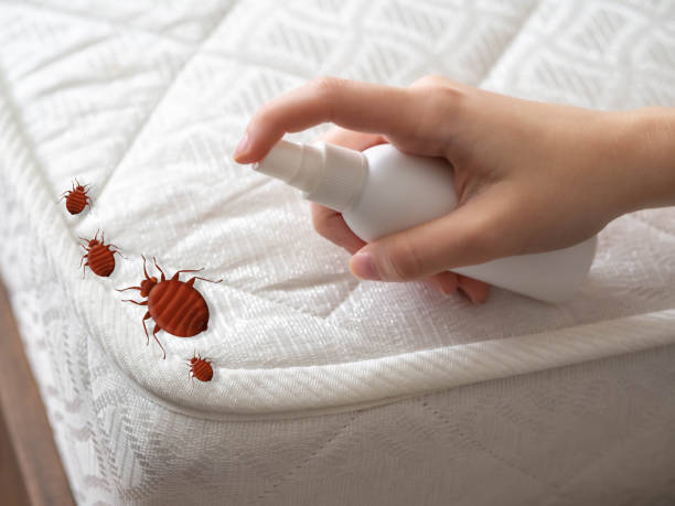Best Pest Control Near Me  in Gooding, ID
